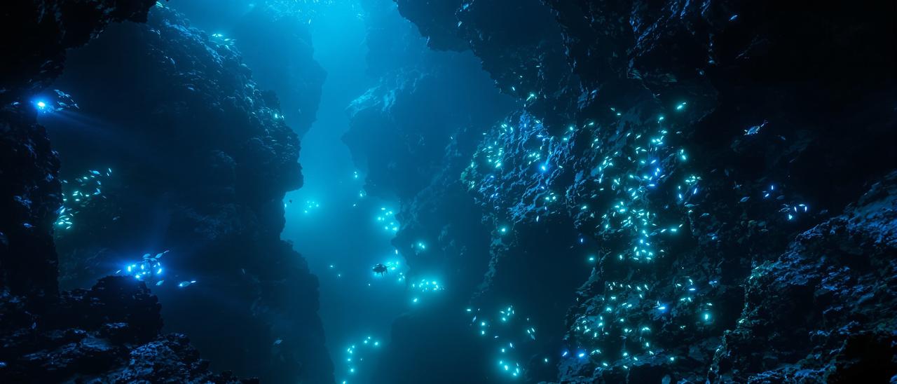 深海探险家 - 轮播背景 - 荷花视频